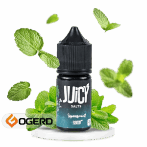 سالت نعناع جویسی (30میل) JUICY SPEARMINT